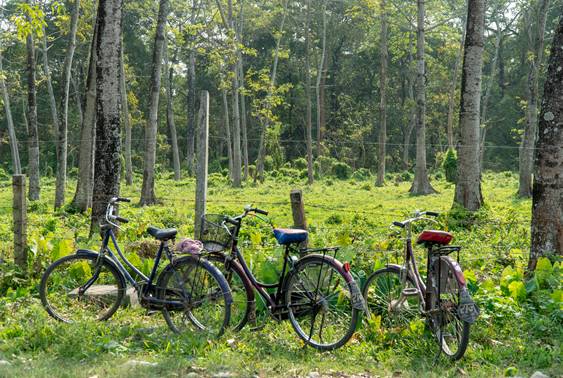 Bikes in the Wild – Chitwan, Nepal